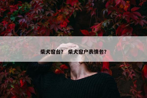 柴犬窗台？ 柴犬窗户表情包？