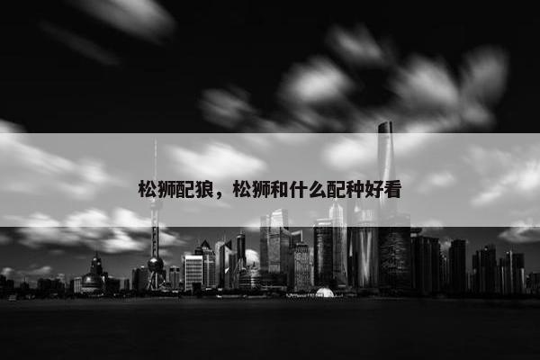 松狮配狼，松狮和什么配种好看