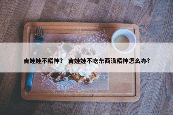 吉娃娃不精神？ 吉娃娃不吃东西没精神怎么办？
