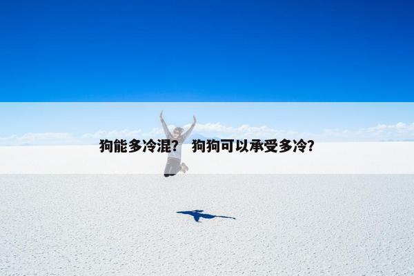 狗能多冷混？ 狗狗可以承受多冷？