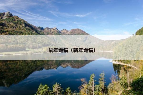 水瓶