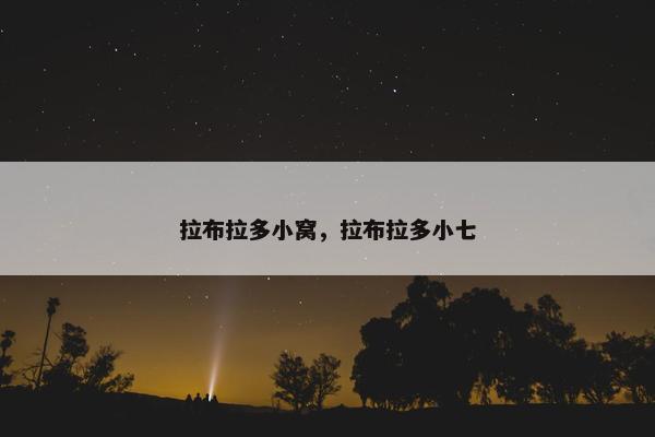 拉布拉多小窝,拉布拉多小七