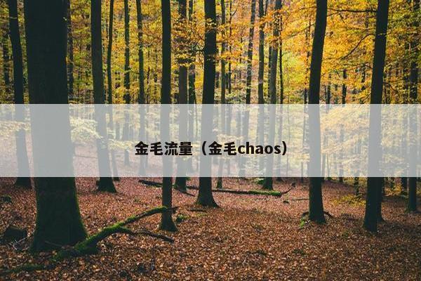 金毛流量（金毛chaos）