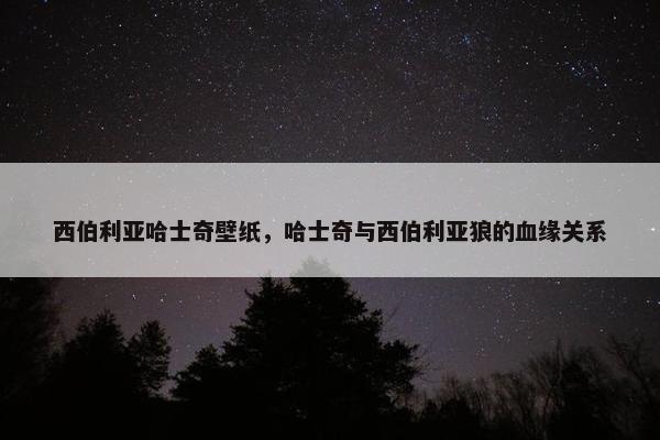 西伯利亚哈士奇壁纸，哈士奇与西伯利亚狼的血缘关系
