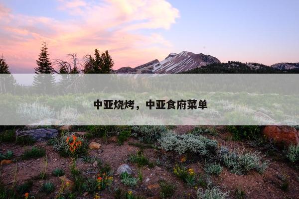 中亚烧烤，中亚食府菜单