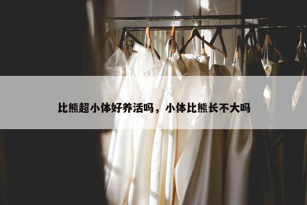 比熊超小体好养活吗，小体比熊长不大吗