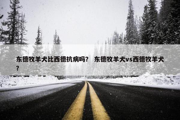 西德