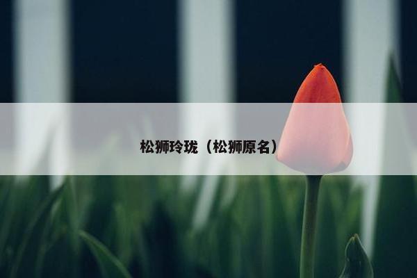松狮玲珑（松狮原名）