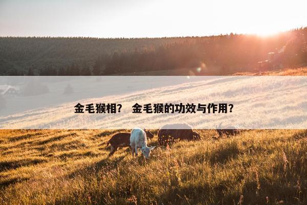 金毛猴相？ 金毛猴的功效与作用？
