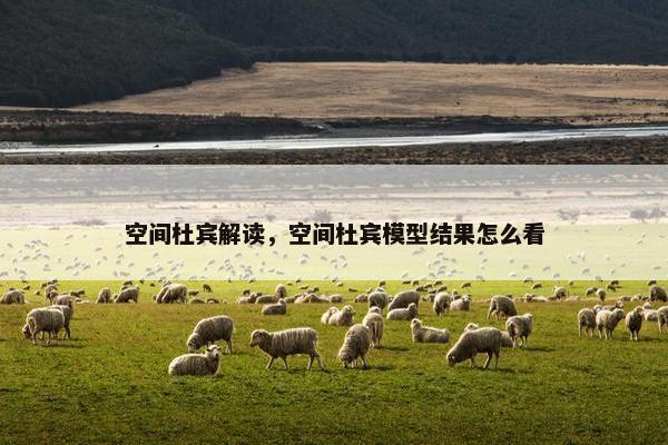 空间杜宾解读，空间杜宾模型结果怎么看