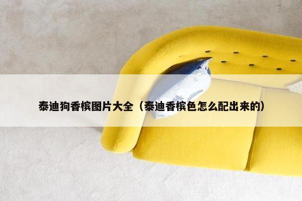 香槟