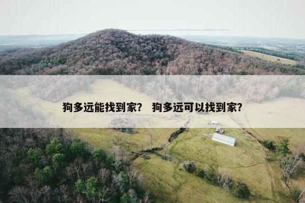 狗多远能找到家？ 狗多远可以找到家？