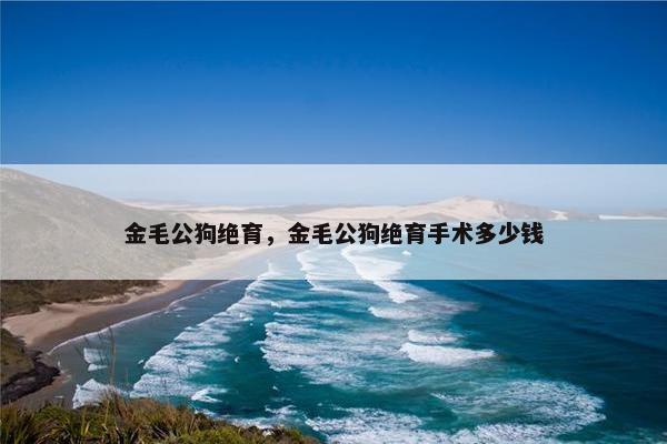 金毛公狗绝育，金毛公狗绝育手术多少钱