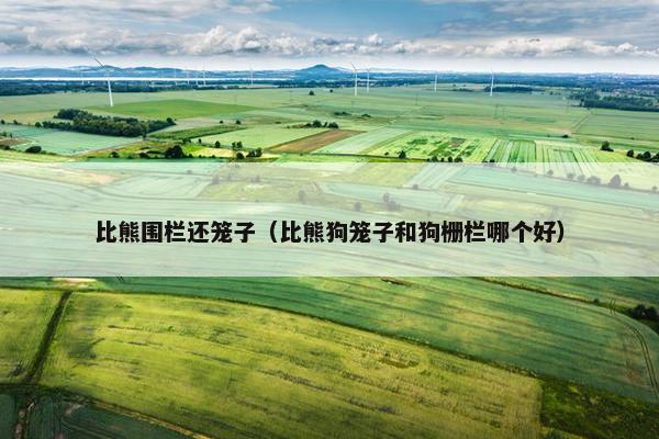 比熊围栏还笼子（比熊狗笼子和狗栅栏哪个好）