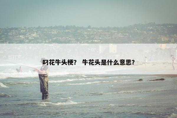 花点