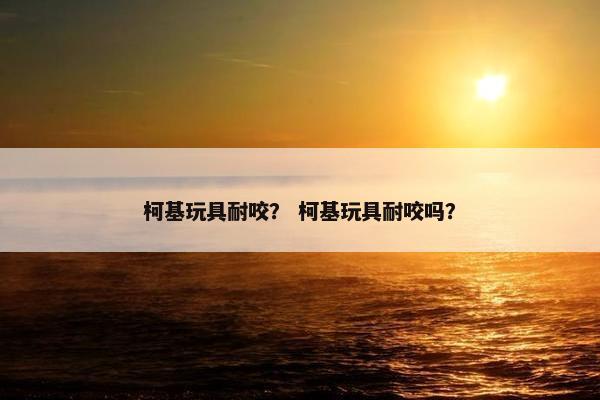 柯基玩具耐咬？ 柯基玩具耐咬吗？