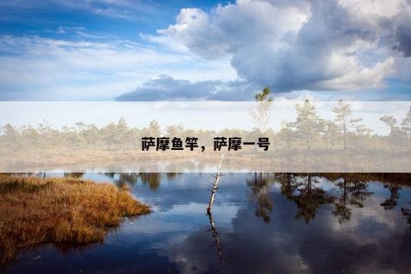 萨摩鱼竿，萨摩一号