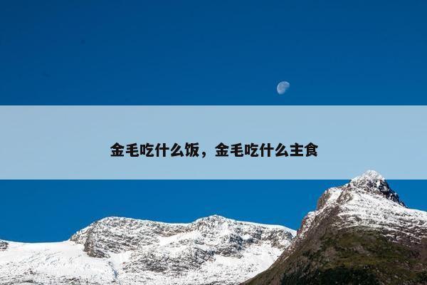 金毛吃什么饭，金毛吃什么主食