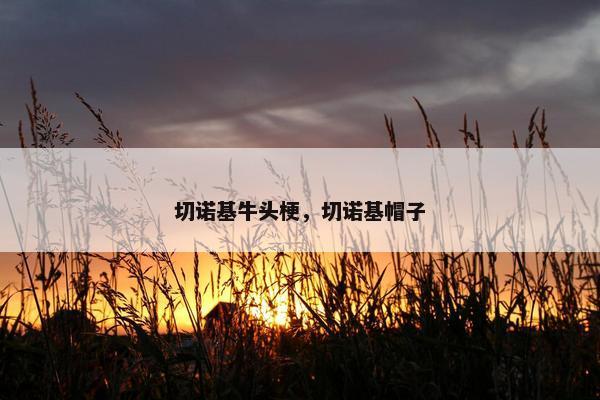 吉普