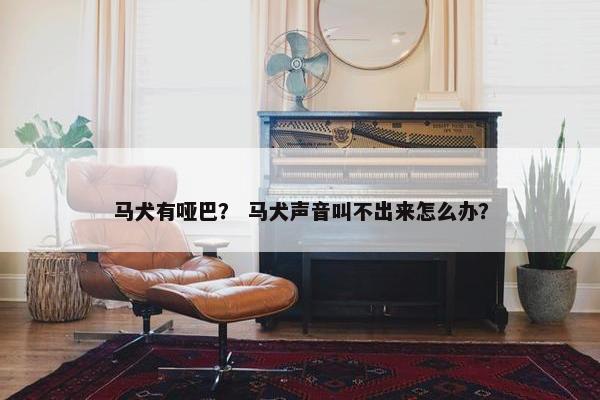 马犬有哑巴？ 马犬声音叫不出来怎么办？