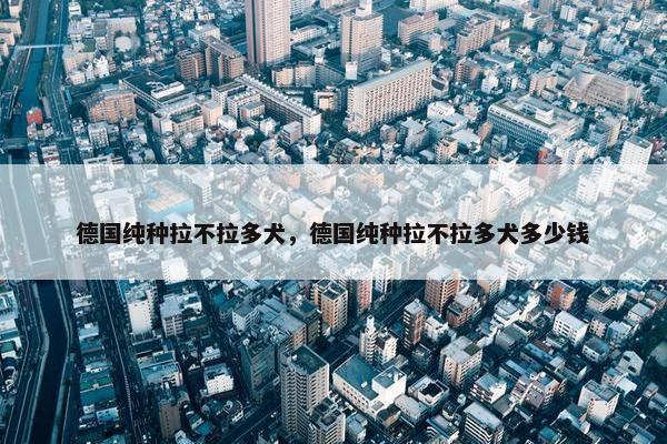 德国纯种拉不拉多犬，德国纯种拉不拉多犬多少钱
