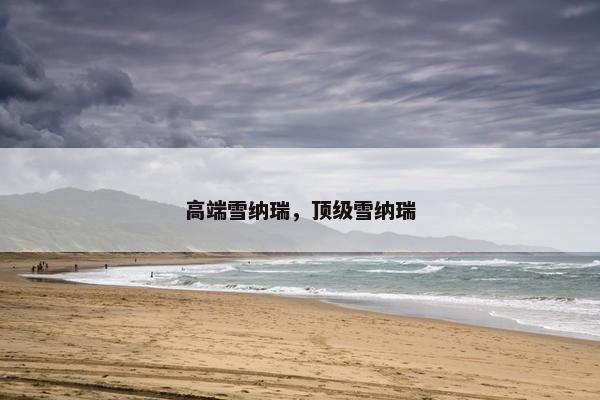 高端雪纳瑞，顶级雪纳瑞