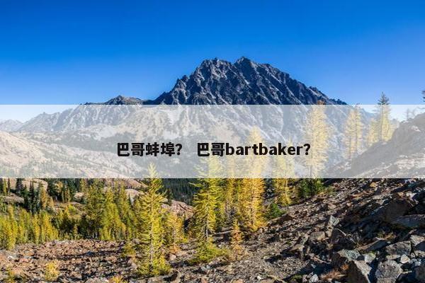 巴哥蚌埠？ 巴哥bartbaker？