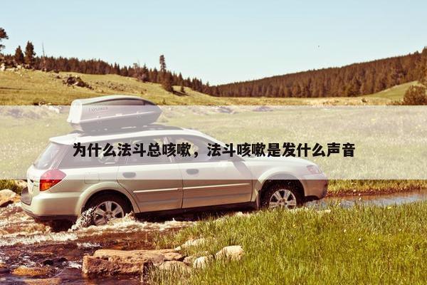 为什么法斗总咳嗽，法斗咳嗽是发什么声音
