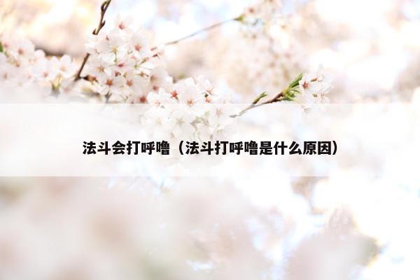法斗会打呼噜（法斗打呼噜是什么原因）
