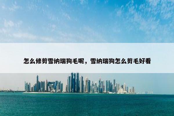 怎么修剪雪纳瑞狗毛呢，雪纳瑞狗怎么剪毛好看