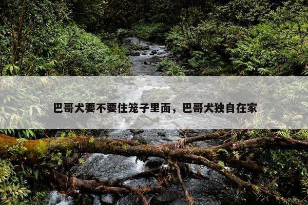 巴哥犬要不要住笼子里面，巴哥犬独自在家