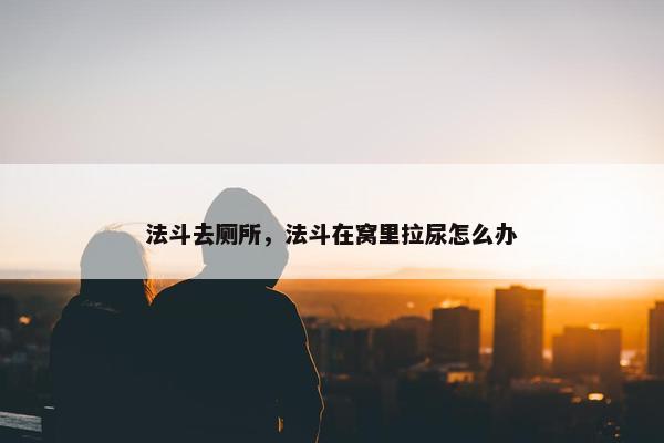法斗去厕所,法斗在窝里拉尿怎么办