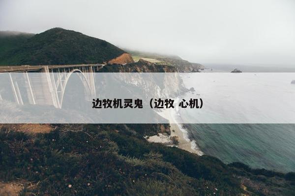 边牧机灵鬼（边牧 心机）