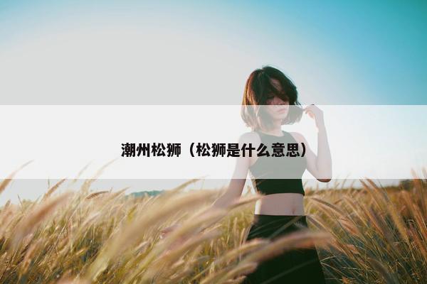 潮州松狮（松狮是什么意思）