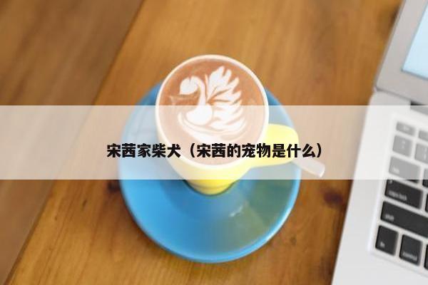 向往