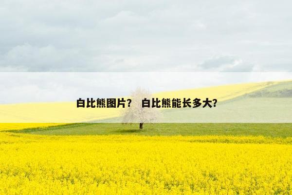 白比熊图片？ 白比熊能长多大？