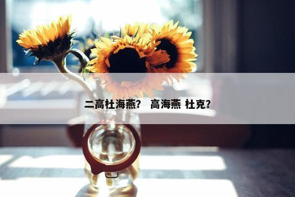 二高杜海燕？ 高海燕 杜克？