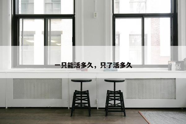 一只能活多久,只了活多久