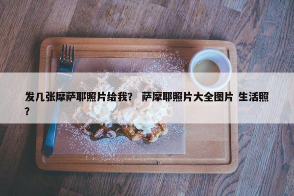 发几张摩萨耶照片给我？ 萨摩耶照片大全图片 生活照？