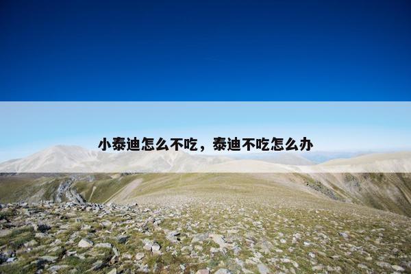 小泰迪怎么不吃，泰迪不吃怎么办