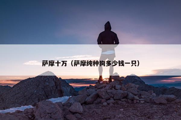 萨摩十万（萨摩纯种狗多少钱一只）