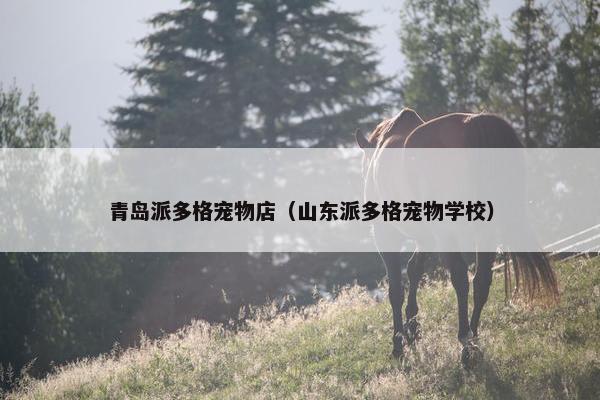 青岛派多格宠物店（山东派多格宠物学校）