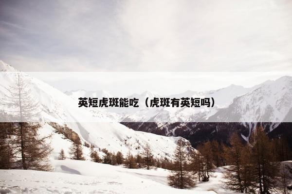 英短虎斑能吃（虎斑有英短吗）
