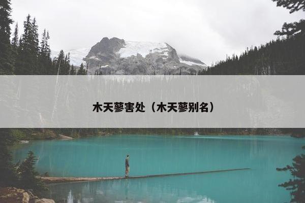 木天蓼害处(木天蓼别名)