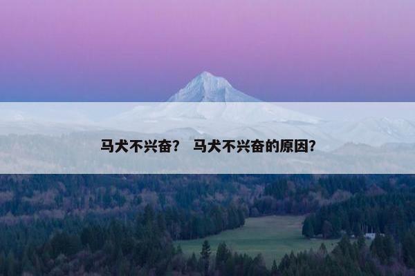 马犬不兴奋？ 马犬不兴奋的原因？