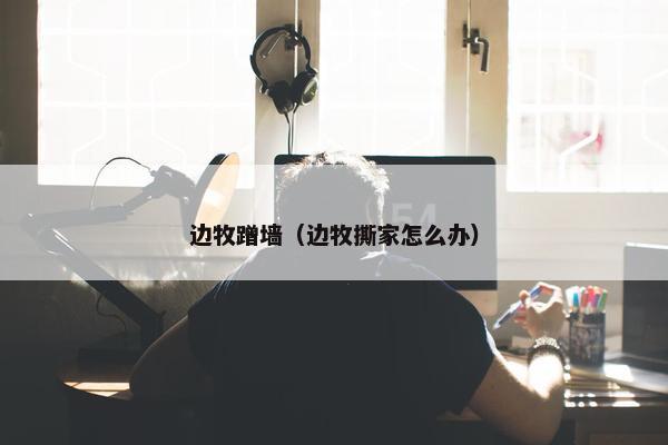 边牧蹭墙（边牧撕家怎么办）
