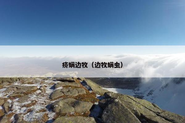 疥螨边牧（边牧螨虫）