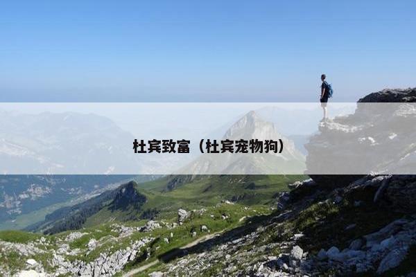职责