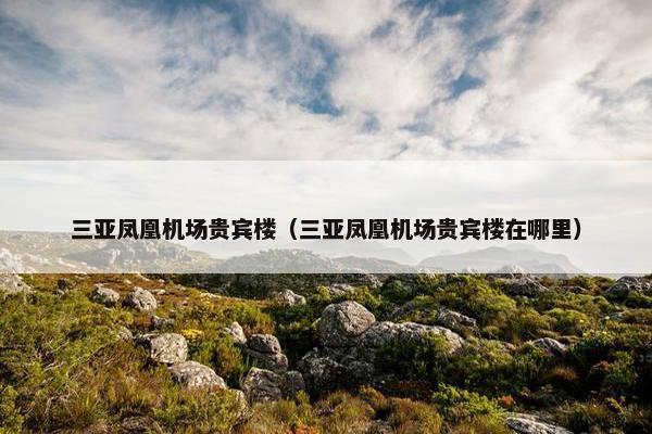 三亚凤凰机场贵宾楼（三亚凤凰机场贵宾楼在哪里）