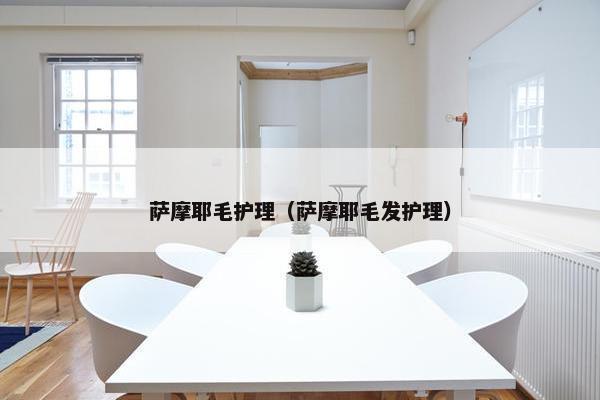 萨摩耶毛护理（萨摩耶毛发护理）